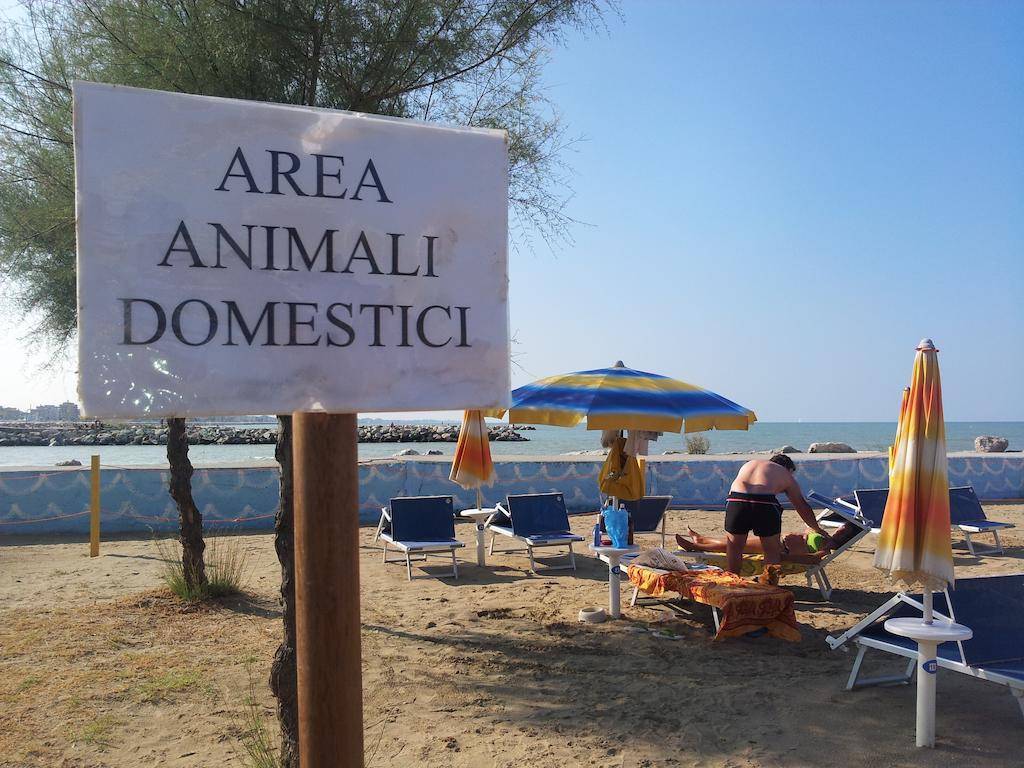 Hotel Paloma Beach Front Chiringuitos Time Rimini Kültér fotó